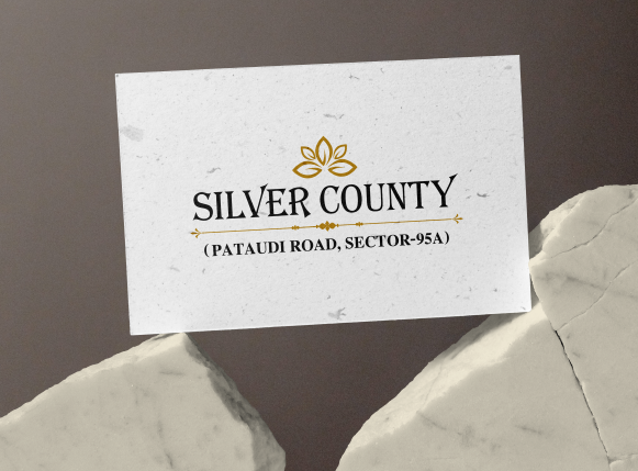 silver-county